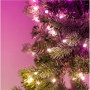 Twinkly Pre-lit Garland Smart LED 50 RGBW (Multicolor + White) Twinkly | Pre-lit Garland Smart LED 50, 2.5 m | RGBW - 16M+ color - 4